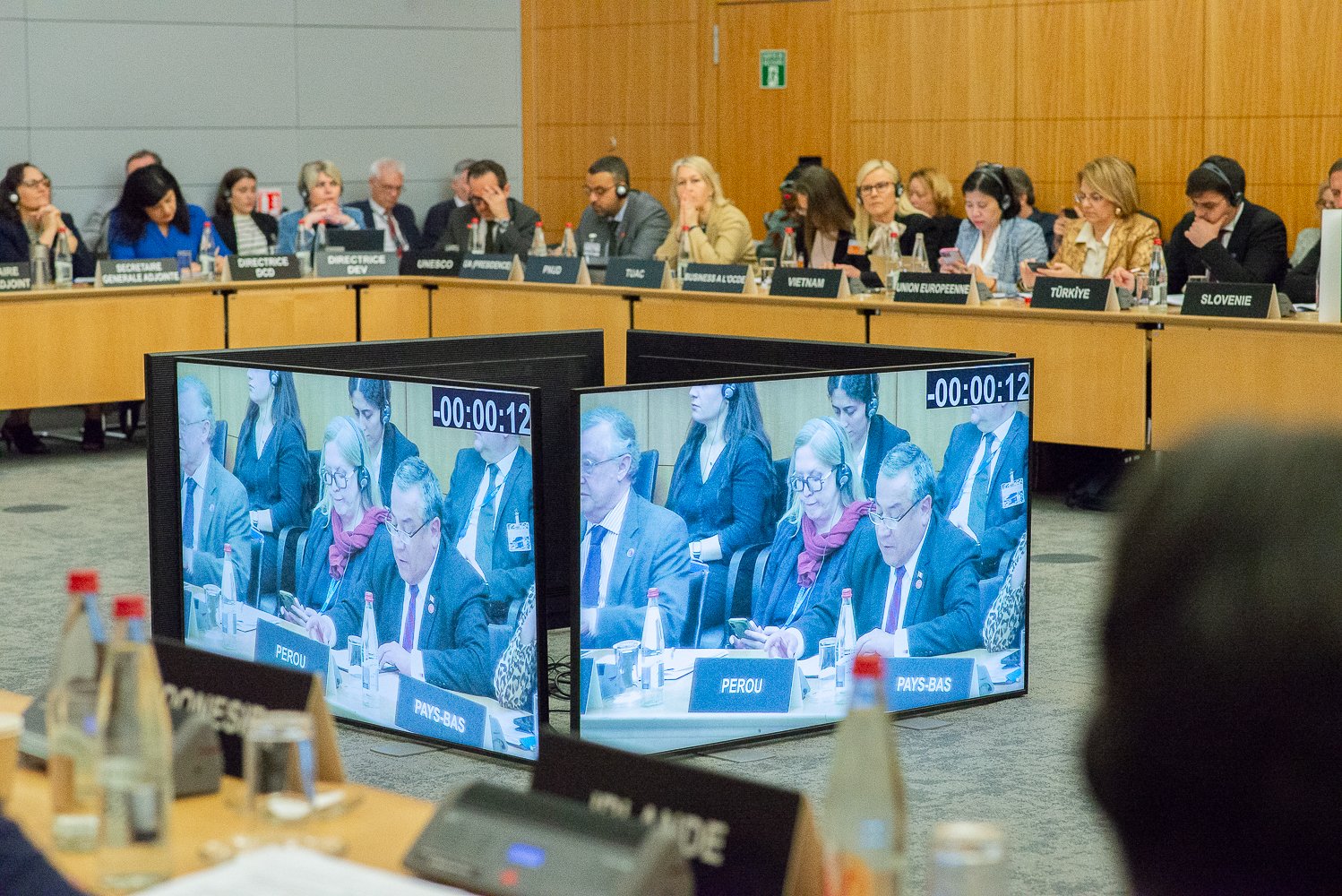 Perú en el Consejo a Nivel Ministerial de la OCDE - MCM 2024 - Imagen 4