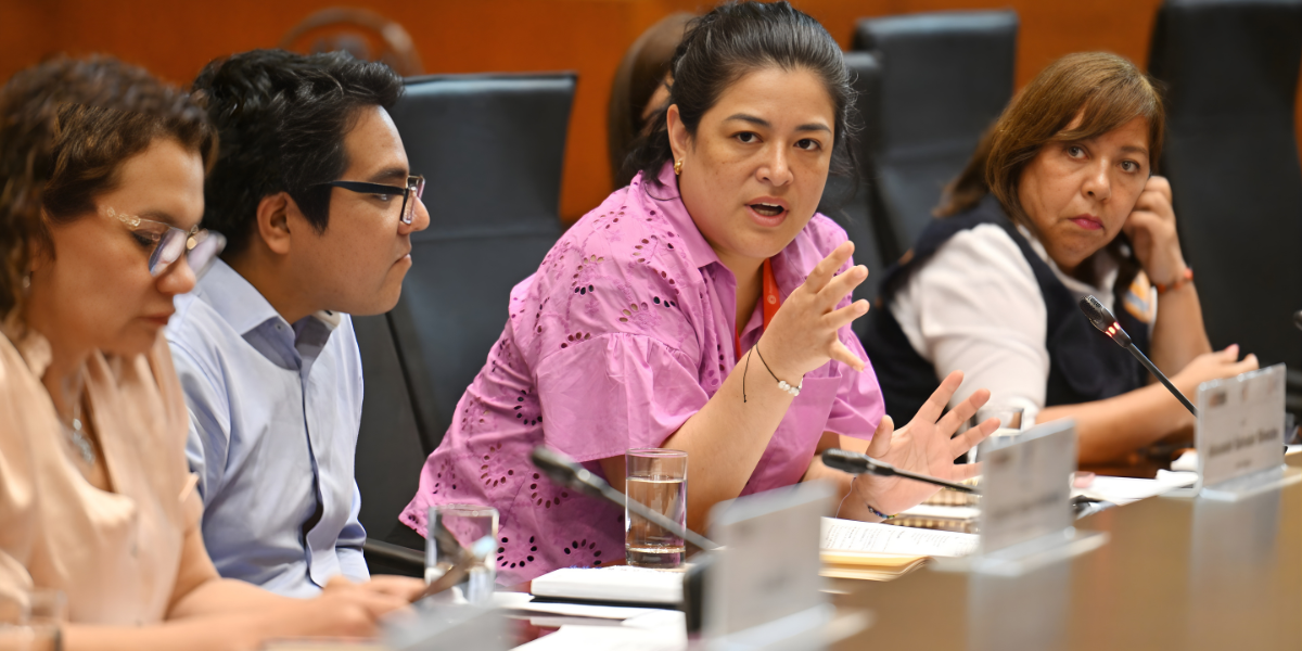 ¿Por qué se creó la figura del líder sectorial para el proceso de adhesión del Perú a la OCDE?